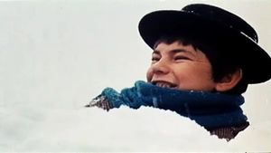 Train in the Snow's poster