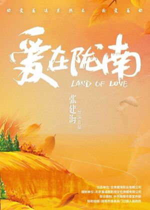 爱在陇南's poster