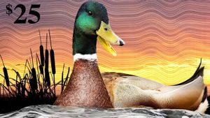 The Million Dollar Duck's poster