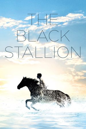 The Black Stallion's poster