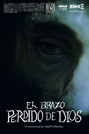 The Lost Arm of God's poster