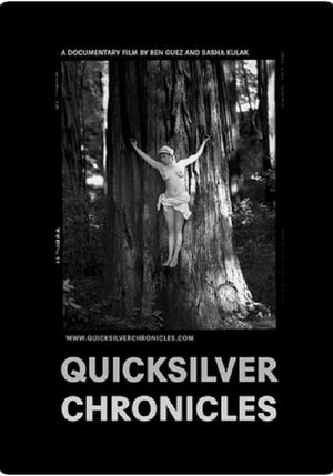 Quicksilver Chronicles's poster