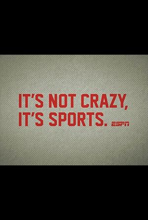 It's Not Crazy, It's Sports's poster image