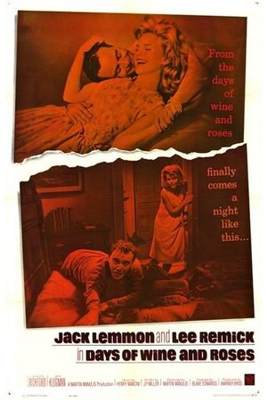 Days of Wine and Roses's poster