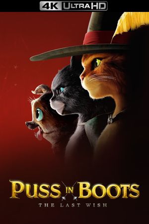 Puss in Boots: The Last Wish's poster