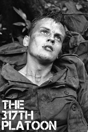 The 317th Platoon's poster