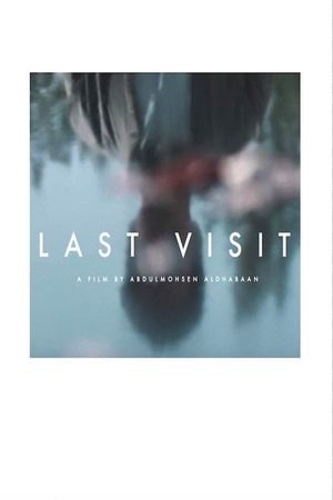 Last Visit's poster