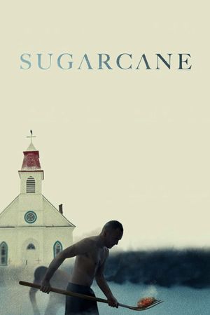 Sugarcane's poster