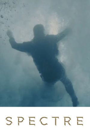 Skyfall's poster