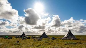 Russian Gas and the Nenets's poster