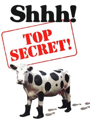 Top Secret!'s poster
