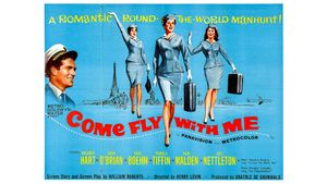 Come Fly with Me's poster