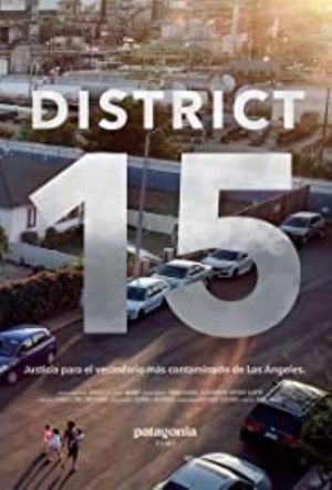 District 15's poster