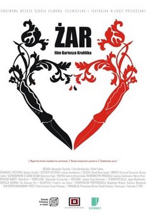 The Heat's poster