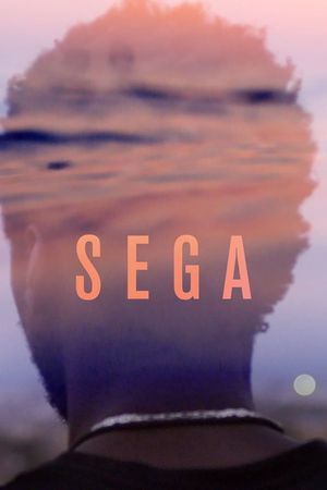 Sega's poster