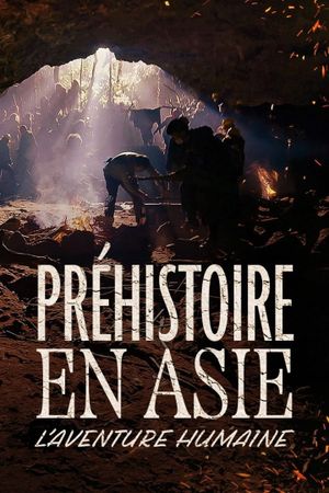 Préhistoire en Asie : L'Aventure humaine's poster image