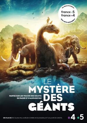 The Mysteries of the Giants's poster image