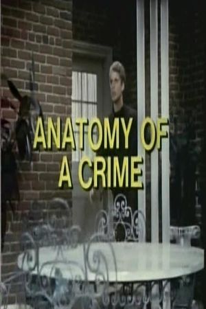 Anatomy of a Crime's poster image