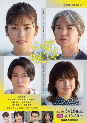 When this flower blooms's poster