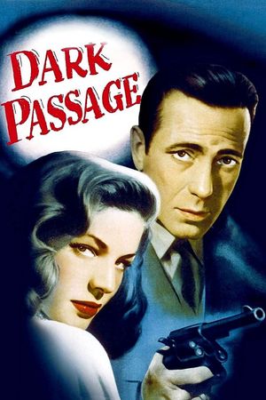 Dark Passage's poster