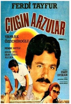 Çilgin Arzular's poster