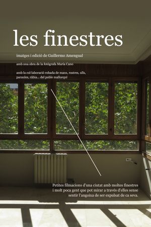 The windows's poster