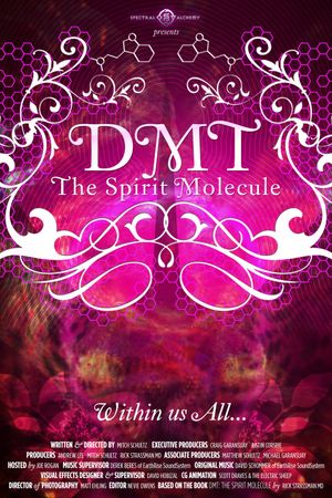 DMT: The Spirit Molecule's poster