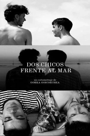 Dos Chicos Frente al Mar's poster