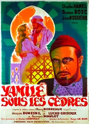 Yamilé sous les cèdres's poster