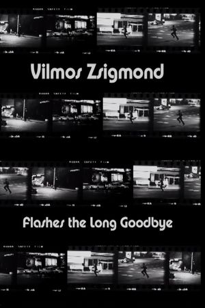 Vilmos Zsigmond Flashes 'The Long Goodbye''s poster
