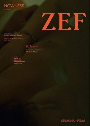 ZEF's poster