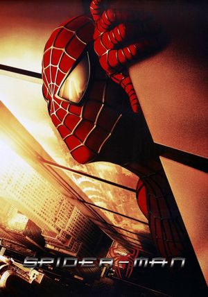 Spider-Man: The Mythology of the 21st Century's poster image