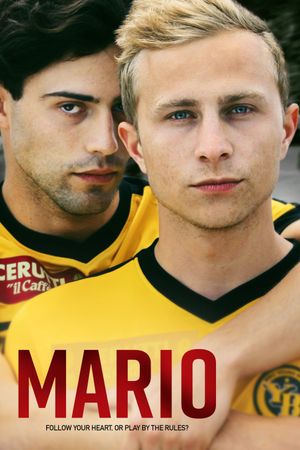 Mario's poster