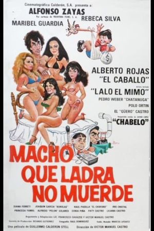Macho que ladra no muerde's poster