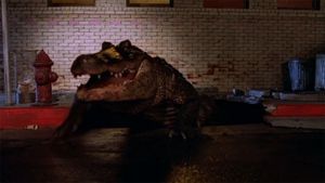 Alligator's poster