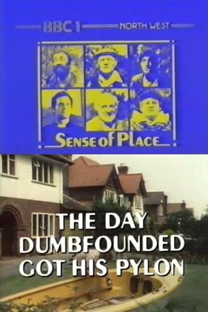 The Day Dumbfounded Got His Pylon's poster