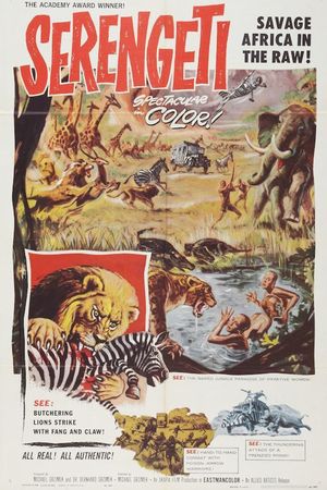 Serengeti's poster