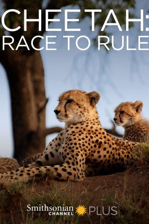 Cheetah: Race to Rule's poster