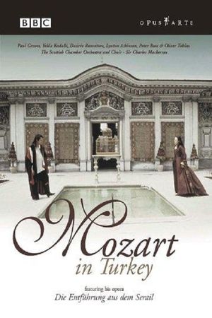 Mozart in Turkey's poster