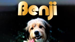 Benji's poster