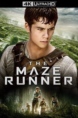 The Maze Runner's poster