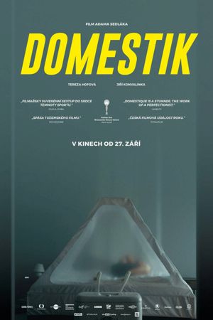 Domestique's poster