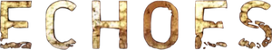 Echoes's poster