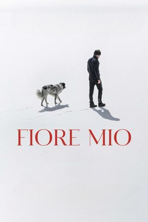 Fiore mio's poster