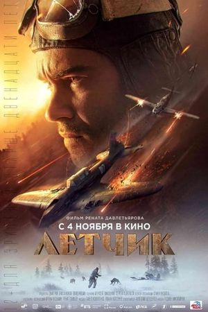 The Pilot: A Battle for Survival's poster