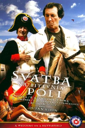 The Wedding on Battle Field's poster