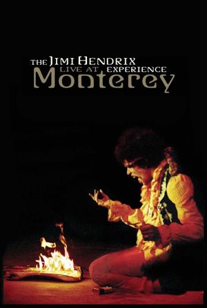 The Jimi Hendrix Experience: Live at Monterey's poster