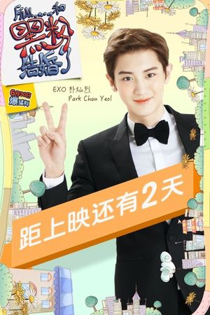 So I Married an Anti-Fan's poster