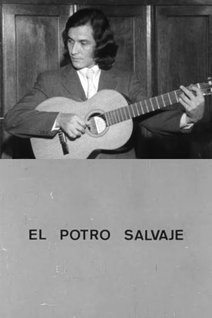 El potro salvaje's poster