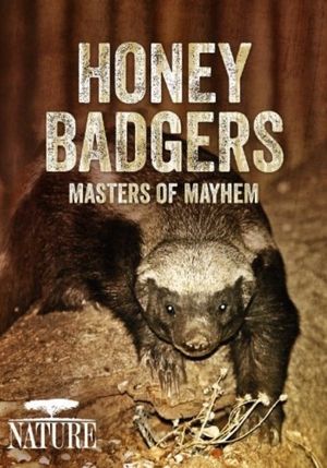 Honey Badgers: Masters of Mayhem's poster